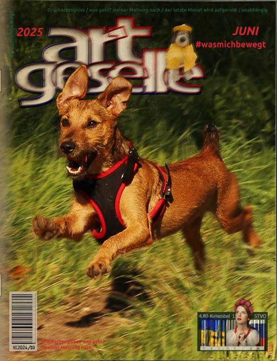 Titelbild 2025_Juni, ein Hund namens Artispringt im Tiefflug durch das hohe Gras.